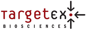 TargetEx Kft. logója